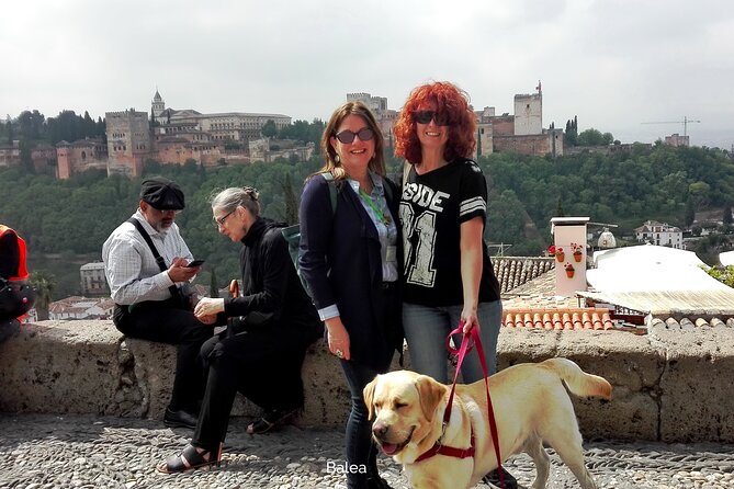 Albaicin guided tour with dogs - From Plaza Nueva up Plaza de Santa Inés