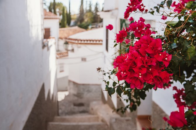 Albaicín & Sacromonte Walking Tour - Price and value: why $19.31 can feel like a steal
