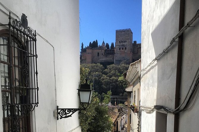 Albayzin and Sacromonte Guided Walking Tour in Granada - Old city gates and Moorish remnants you would normally miss