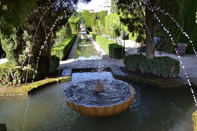 Alhambra al Completo, nazaries palaces, generalife palace - Entering the Nasrid Palaces: where the site becomes personal