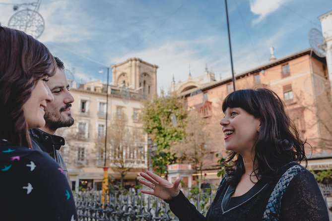 Alhambra and Granada City Center sightseeing tour! - A private Alhambra-and-city-center plan that makes sense