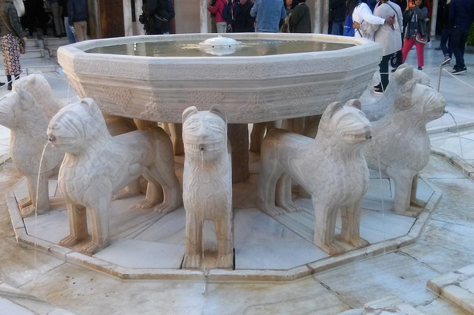 Alhambra and Granada City Center sightseeing tour! - Flexibility is the real luxury with private guiding