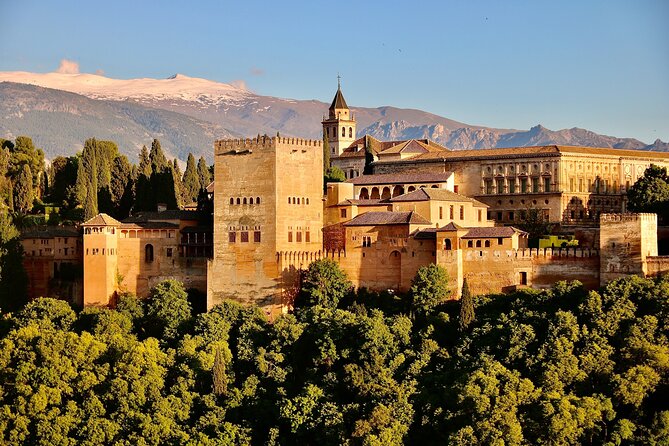 Alhambra and Nasrid Palaces: Skip-the-line Ticket and Local Guide - Alhambra Skip-The-Line Value: Why This Tour Works