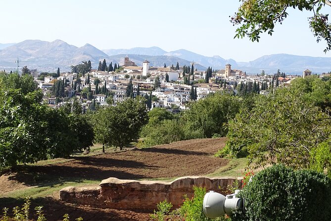 Alhambra and Nasrid Private Walking Tour with Food Tasting - How private guiding changes your Alhambra day