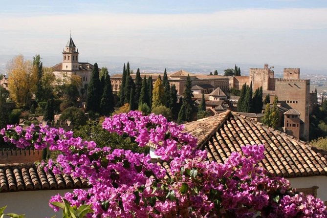 Alhambra &Charles Palace Guided Tour with Optional Nasrid Palaces - Price and value: why about $24 can be either smart or frustrating