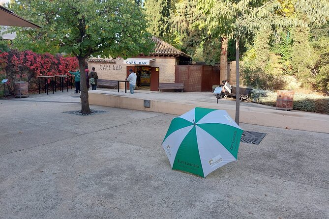 Alhambra Guided Tour, Nasrid Palaces and Generalife - Nasrid Palaces: More Than Pretty Walls
