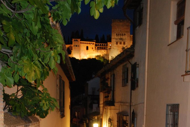 Alhambra: Night Visit to Nasrid Palaces - When this tour is a great fit, and when it’s not