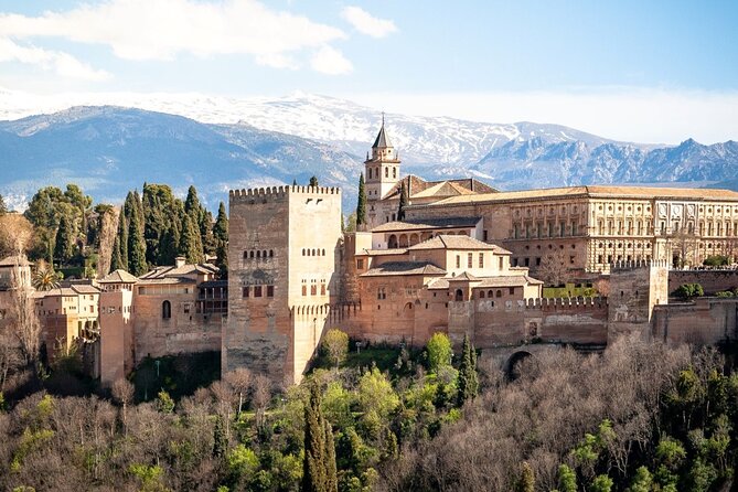 Alhambra Private Tour: Nasrid Palaces, Alcazaba and Generalife - Nasrid Palaces: stucco detail, fountains, and courtly geometry