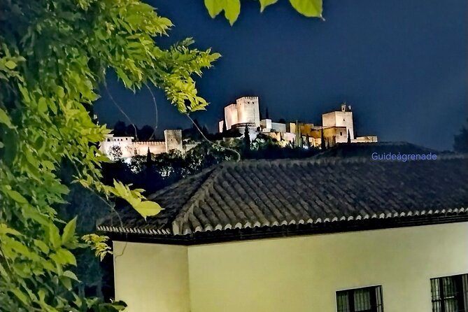 Alhambra Private Tour: Nasrid Palaces and Generalife - Price and value: $264.29 plus one important extra cost