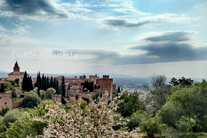 Alhambra Private Tour: Nasrid Palaces and Generalife - Nasrid Palaces: what a guided route adds to your photos and your understanding