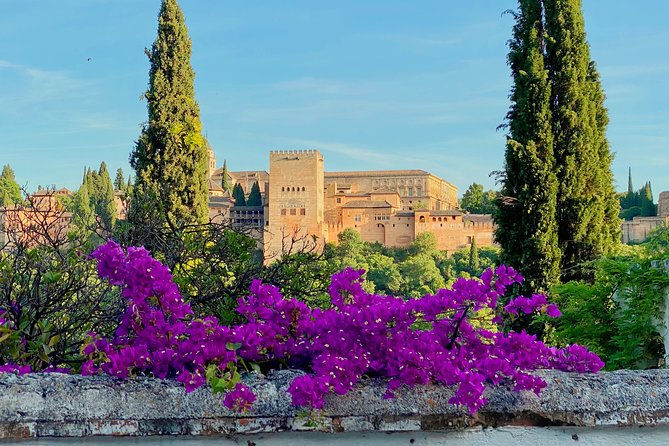 Alhambra Private Tour with Skip-the-line-tickets - The 3-hour route that covers the big contrasts