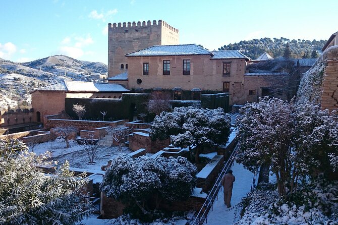 Alhambra private tour with tickets - Why this private Alhambra plan works better than DIY