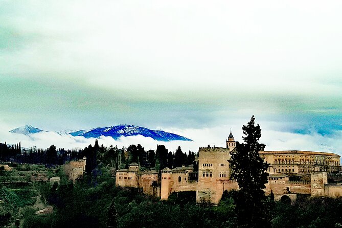 Alhambra Private Tour with Tickets to the Nasrid Palaces - Queue-avoidance is real, but don’t treat it like magic
