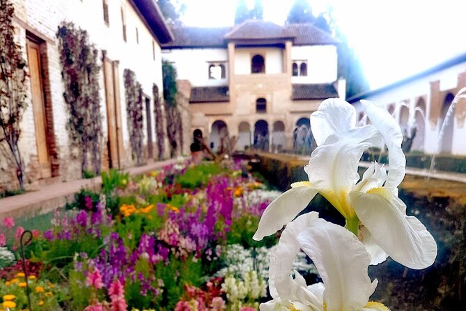 Alhambra Private Tour with Tickets to the Nasrid Palaces - Price, pacing, and who this tour fits best