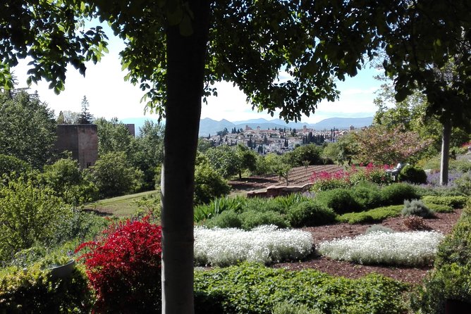 Alhambra private tour (without tickets) total/group Max 15 people - Private Alhambra time with a real guide