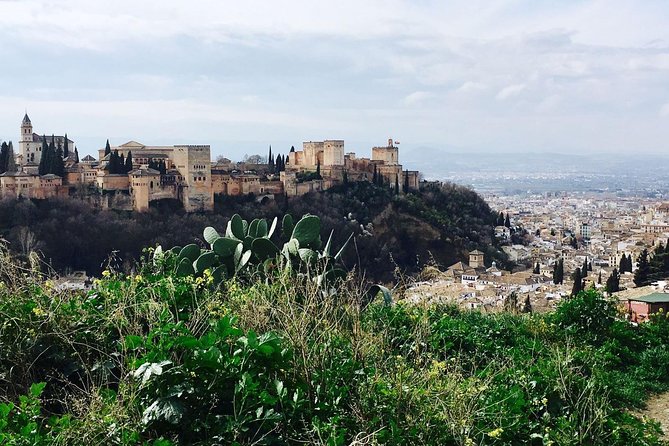 Alhambra private tour (without tickets) total/group Max 15 people - Tickets not included: how to keep this smooth
