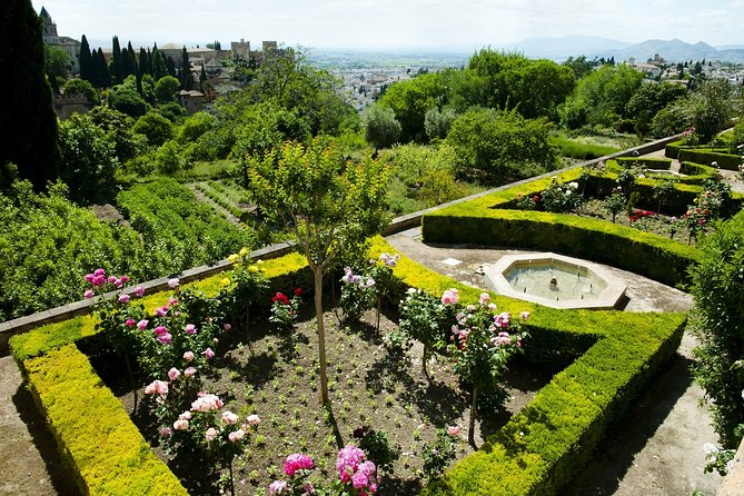 Alhambra Skip the Line Premium Guided Tour - Meeting point at P.º del Generalife, 1F: how to avoid the classic start-day hassle