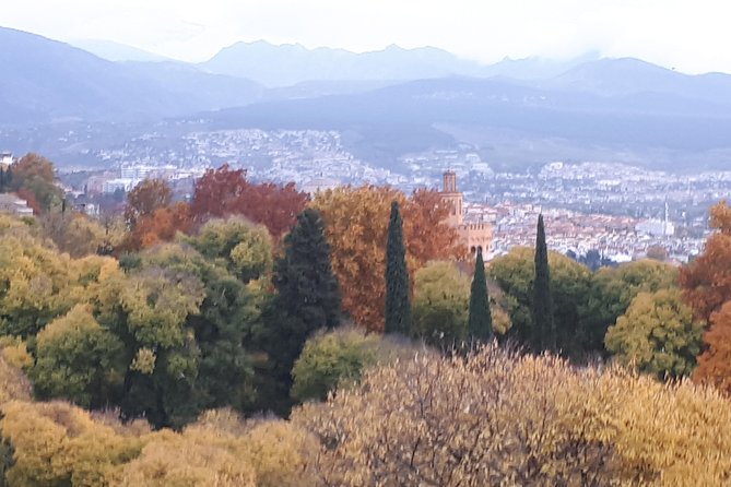 Alhambra Tour :Generalife Gardens ,Palaces and towers.Skiptheline - Meeting at Restaurante La Mimbre, then walking the Generalife exit
