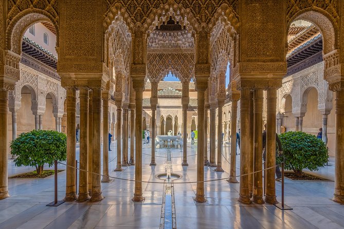 Alhambra Visit with Private Official Guide in Granada - Patio de los Leones: you get the moment, not a long detour