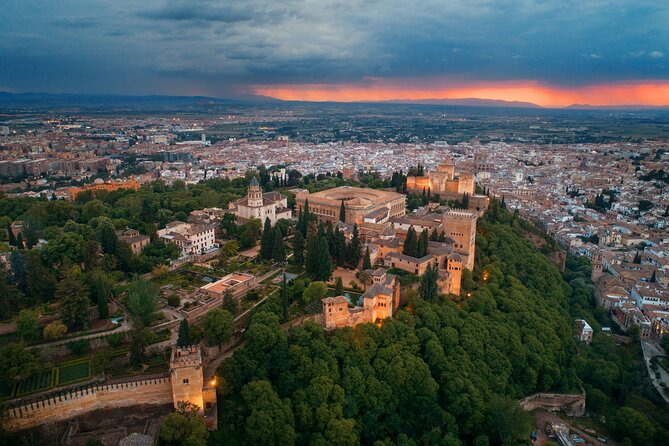 Alhambra with Nazaries Palaces Private Tour - Nasrid Palaces: power, justice, and geometry you can actually read