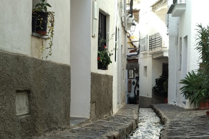 Alpujarra Private DayTrip from Granada - Key highlights worth planning for