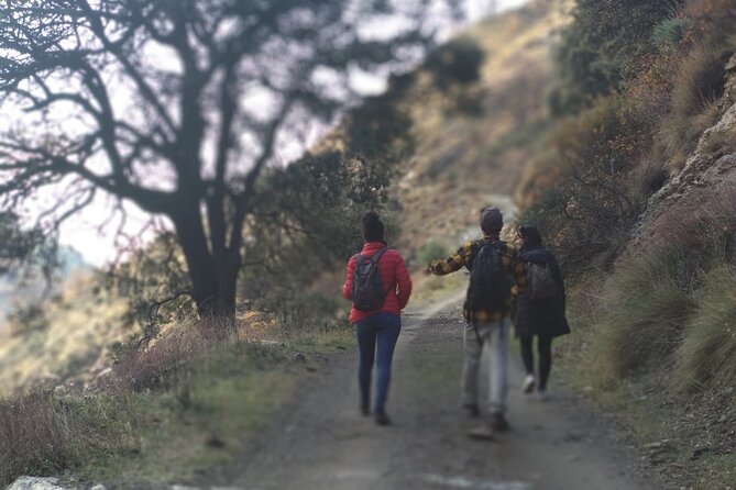 Alpujarra Private DayTrip from Granada - Pickup in Granada: the easiest start to a mountain day