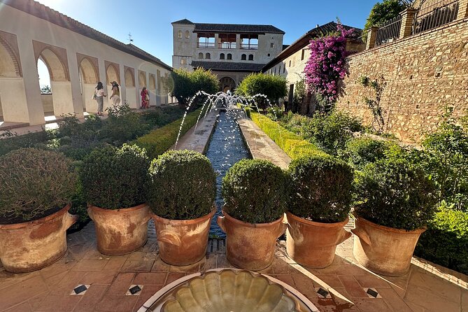 Arabic Private tour Alhambra (Not Included Ticket ) - Meeting point timing: how to make your entrance smooth