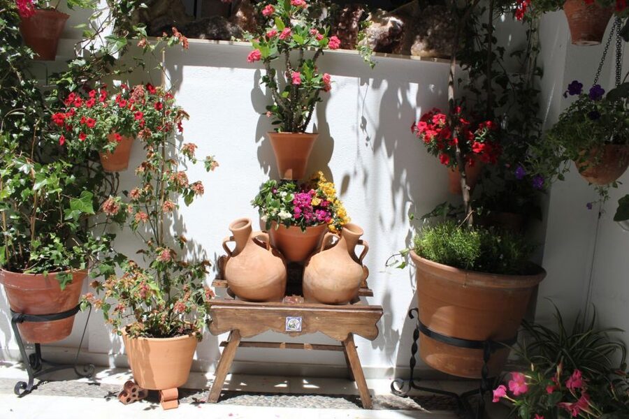 Cordoba Highlights Full-Day Tour from Granada - A 12-hour Córdoba day that feels organized, not rushed