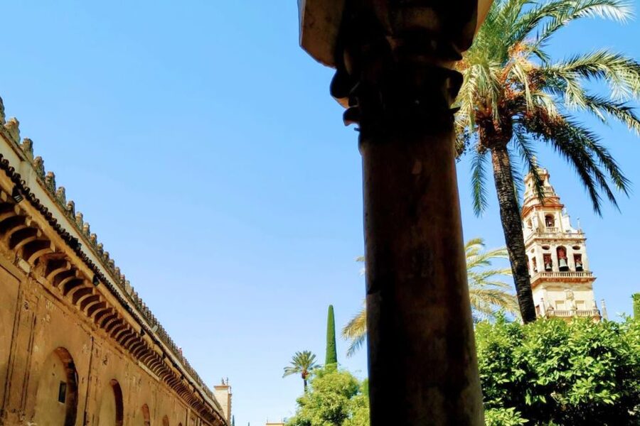 Cordoba Highlights Full-Day Tour from Granada - Mosque-Cathedral of Córdoba: the 30-minute guided hit you should prioritize