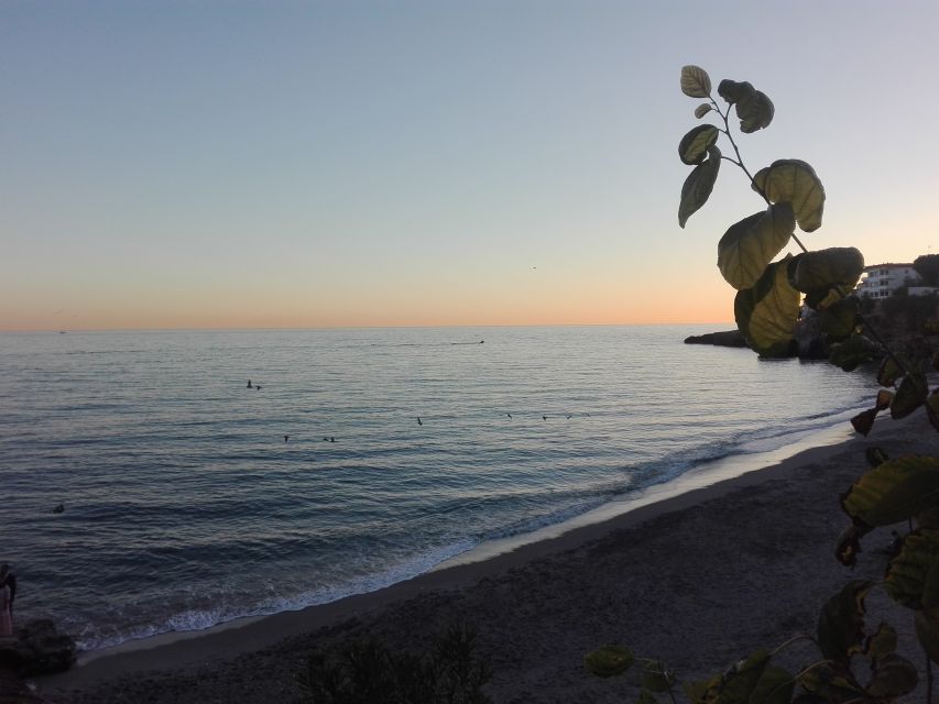 Day Tour to Frigiliana & Nerja from Granada - Key things to look forward to