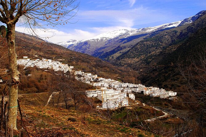Day trip in Trevélez and a visit to ham drying factory - Key things to know before you go