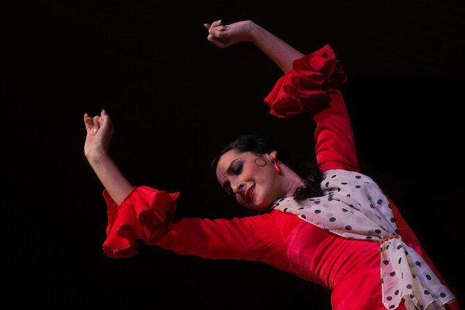 Flamenco Show in Cueva Zincalé - Getting there: Near public transportation and mobile ticket entry