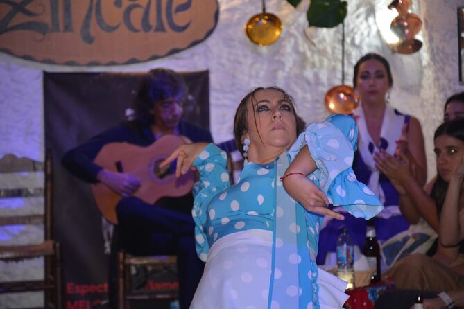 Flamenco Show in Cueva Zincalé - Who should book this flamenco cave show