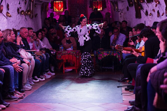 Flamenco Show in the Caves of Sacromonte - Who this flamenco cave show is best for