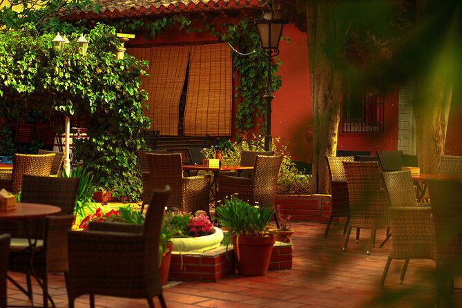 Flamenco Show Ticket at tablao Jardines de Zoraya Granada - Who Should Book This Flamenco Show?