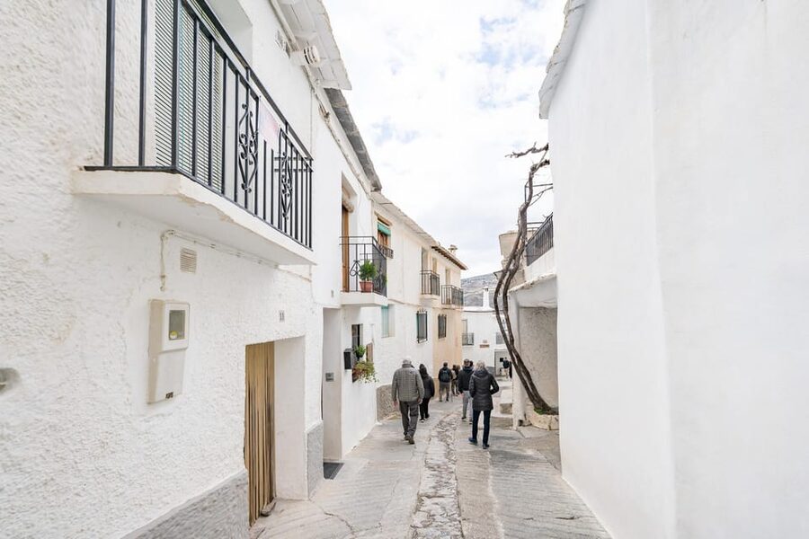From Granada: Alpujarra Villages Guided Day Tour - Capilerilla and Pampaneira: the white-village rhythm, with time to breathe