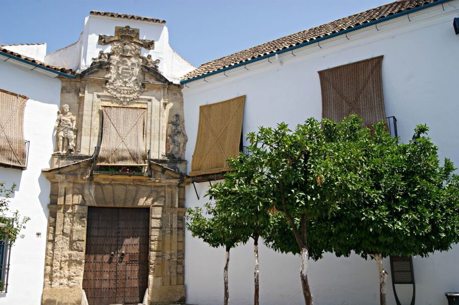 From Granada: Córdoba Day Trip with Mezquita Guided Tour - Entering the Mezquita-Catedral: what the guide helps you notice