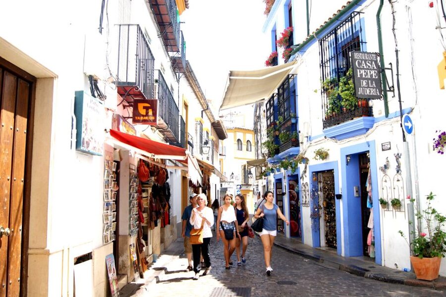 From Granada: Córdoba Day Trip with Mezquita Guided Tour - Crowds, pacing, and the microphone issue: practical expectations