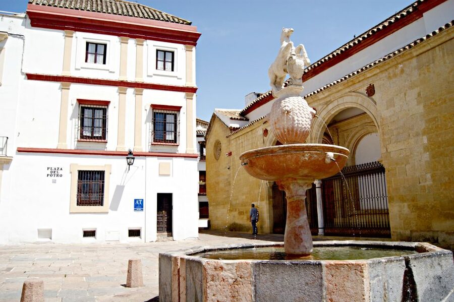 From Granada: Córdoba Day Trip with Mezquita Guided Tour - Tips to make your Córdoba free time feel effortless