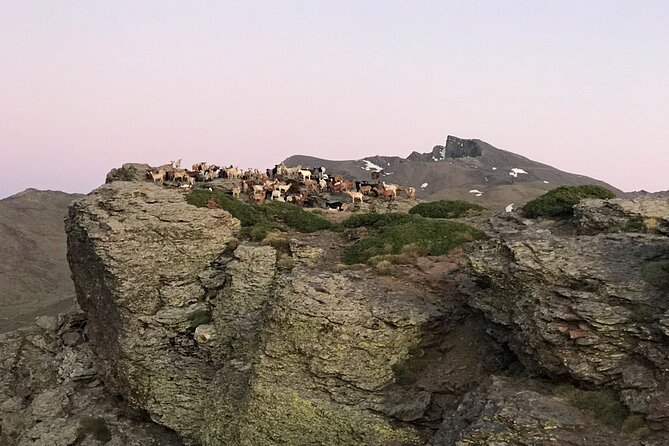 From Granada: Sierra Nevada Safari tour up to 2500 meters high - Why Sierra Nevada is worth the climb (and not just a viewpoint)