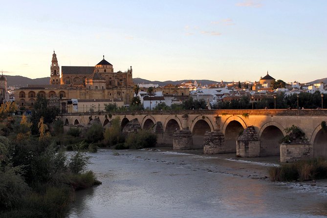 Full-Day Cordoba Tour from Granada: Mezquita Visit Included - Price and what you are truly paying for at $199.13