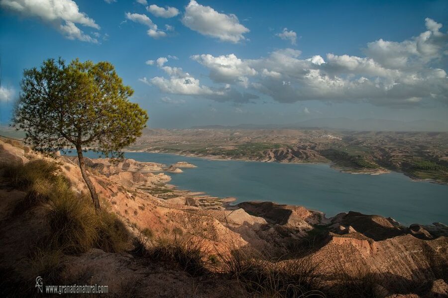 Gorafe: Los Coloraos Desert 4x4 Tour - Key moments you should know before you go