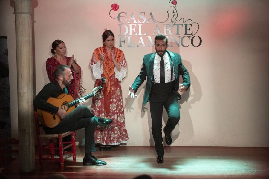 Granada: 1-Hour Traditional Flamenco Show - Price and value: what $23 buys you in Granada