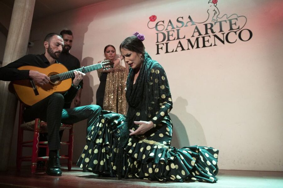 Granada: 1-Hour Traditional Flamenco Show - Who this Granada flamenco show is best for