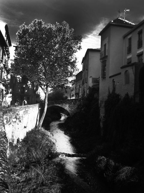 Granada Albaicín: 2.5-Hour Tapas & Drinks Walking Tour - Skip-the-line benefit, and why it can matter even on a walking tour