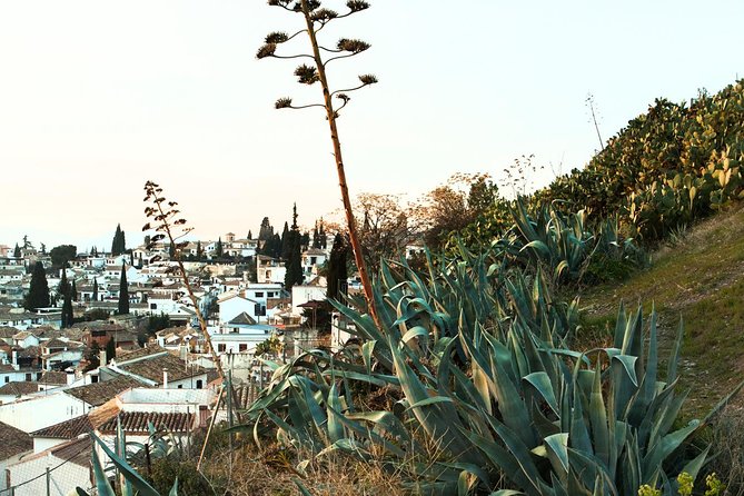 Granada: Albaicin and Sacromonte Private Tour - Calle Cruz de la Rauda: symbolism you can read without a textbook