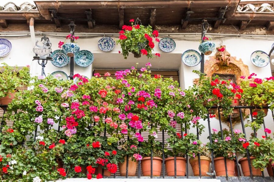 Granada: Albaicín and Sacromonte Walking Tour - Key takeaways before you go