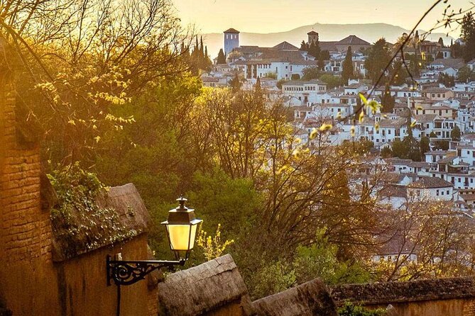 Granada: Albaicin Private tour - Who this private Albaicín tour suits best