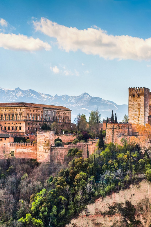 Granada: Alhambra and Nasrid Palaces Private Guide Tour - Tickets Included: Alcazaba, Nasrid Palaces, and Generalife Gardens