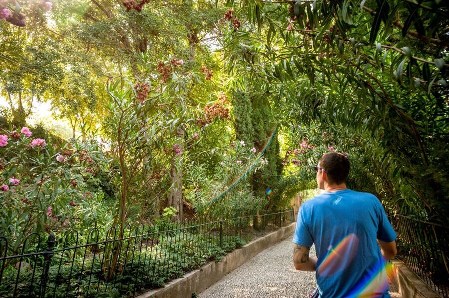 Granada: Alhambra Entry Ticket with Audio Guide - Who This Alhambra Audio Package Fits Best